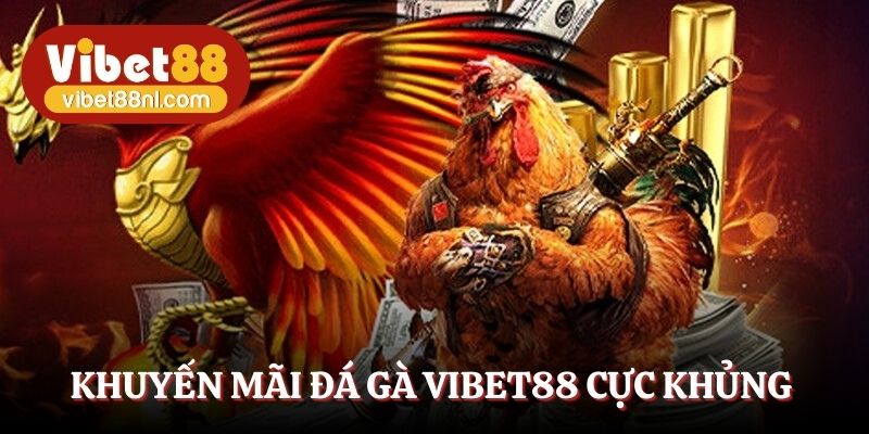 Khuyến mãi đá gà Vibet88 cực khủng