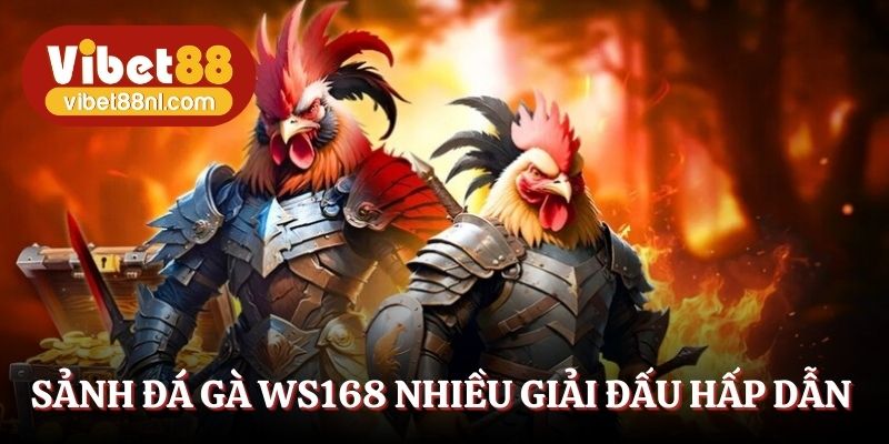 Sảnh đá gà WS168 nhiều giải đấu hấp dẫn